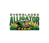 everglades alligator farm